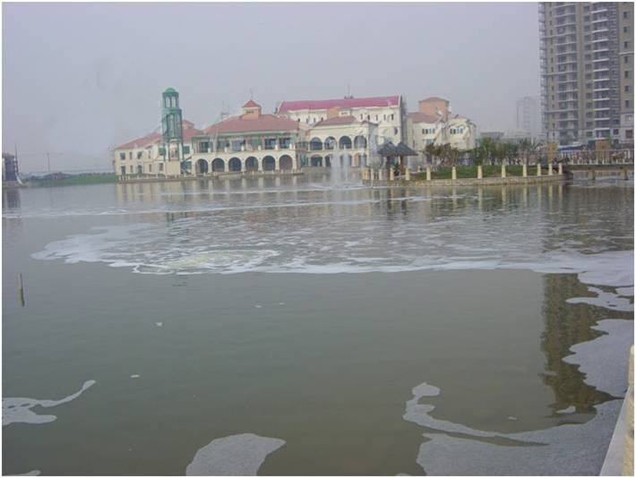 海逸長洲景觀水治理前