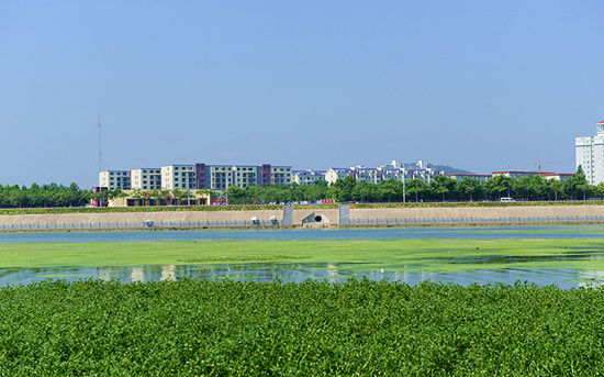 信陽浉河二號(hào)橡膠壩藍(lán)藻泛濫