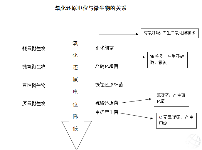 氧化還原電位